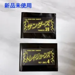 【新品未使用】群馬クレインサンダーズ ステッカー