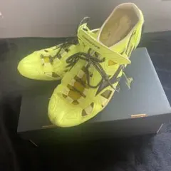 クロノインクス