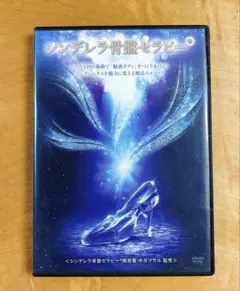 シンデレラ骨盤セラピー DVD 中井マサル 監修　2枚組