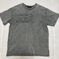 ACNE STUDIOSぼかしロゴTシャツ グレーL - メルカリ