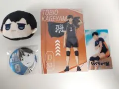 ハイキュー!! 影山飛雄　ミニぬいぐるみ　缶バッチ　ポストカード　クリアカード