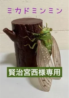 いきもの大図鑑　セミ01 カプセル版　「02ミカドミンミン」