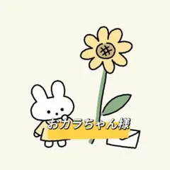 おカラちゃん様 リクエスト 2点 まとめ商品