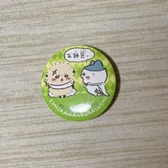 【ハチワレ×ラッコ】ビッくらポン　缶バッジくら寿司