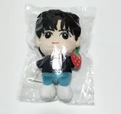 BUDDiiS TAKUYA 大槻拓也 ぬいぐるみ セット売り 2025年最新】buddiis ぬいぐるみ takuyaの人気アイテム - メルカリ