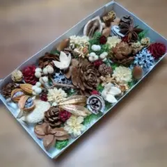 木ノ実 ガーデニング