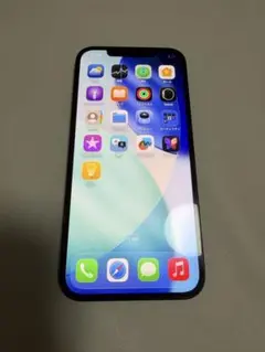 12 pro max 256