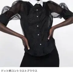 ZARA シースルードットブラウス　オーガンジーブラウス