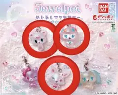 ジュエルペット めじるしアクセサリー キラキラオーロラ ver. 3個セット