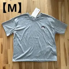 Item thumbnail for item 062bef9d-df29-48d8-be21-5a7595728770