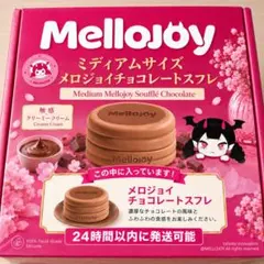 ❗完全未開封❗メロジョイ チョコレートスフレ ミディアムサイズ M