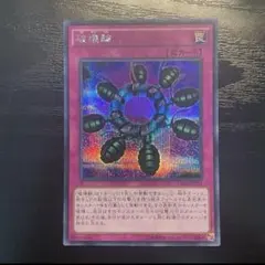 破壊輪　シークレット　シク