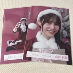 向井純葉 櫻坂46 生写真 2025年 サンタ衣装 サンタ ヨリ スワリ