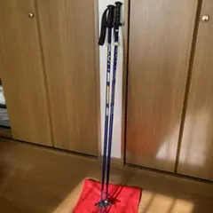 Scott スキー用ストック 117cm