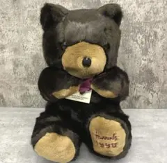 Item thumbnail for item 1c1901d4-d4f4-4166-9015-5322edba7f75