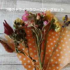 Item thumbnail for item a100e23d-2732-4a2d-9cd3-9419978b15d7