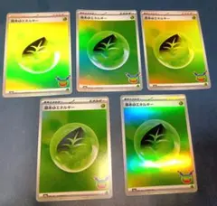ポケモンカード 基本草エネルギー 5枚セット m6a