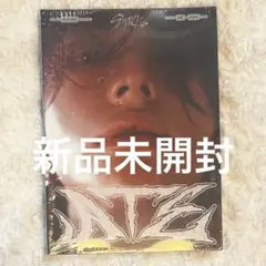 Stray kids ヒョンジン ATE accordion 新品未開封
