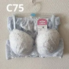 下着 セットアップ c75