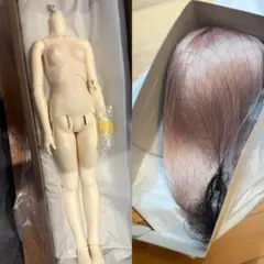 SD13 女の子 ボディ +ウイング　ホワイト肌 新品