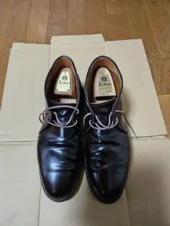 Alden 990 コードバン ブラック US8.5正規店購入 メンテ済ツリー付 Alden 990 コードバン ブラック US8.5正規店購入 メンテ済ツリー付