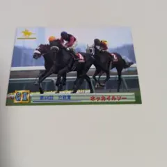 JRA ホッカイルソー 第44回日経賞 サラブレッドカード中山競馬場