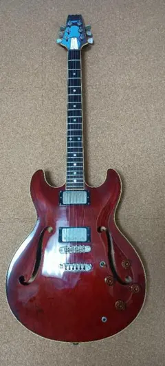 Brian May guitars製RED SPECIAL 純正ギグケース付き - メルカリ