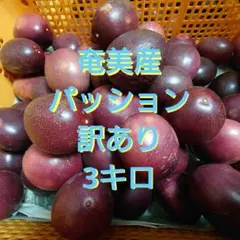 《奄美産訳ありパッションフルーツ約3㎏》①のサムネイル