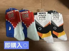 パクパクソックス 22-25cm 靴下　未使用