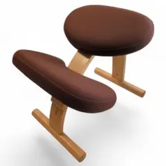 バランスイージー 通常フレーム