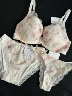 ブラデリスステップ1ブラジャーショーツセット 70C/Mテラコッタ