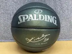 Item thumbnail for item 6b9dd4cc-8d28-40f7-9d23-066462c4f18b