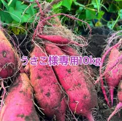 熊本県産さつまいも 紅はるか 自然栽培 10kg 専用ページ4/27月午前中着