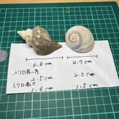 あっちゃん?!様 リクエスト 2点 まとめ商品