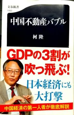 中国不動産バブル