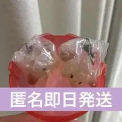 未開封 mikko めじるしアクセサリー2 スフレ２個セット