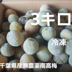 山形県産　幻の谷沢梅　追熟梅 3キロ　初熟青梅　梅干し　農薬不使用　梅仕事 山形県産 幻の谷沢梅 追熟梅 3キロ 初熟青梅 梅干し 農薬不使用 梅仕事