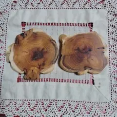 C6オンコの木　丸太輪切り2枚