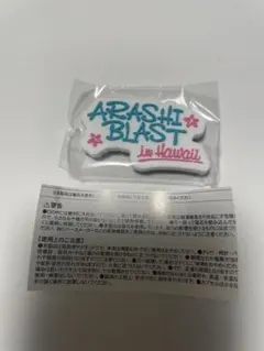嵐 We are ARASHI Hawaii ロゴマグネット ガチャ　ハワイ