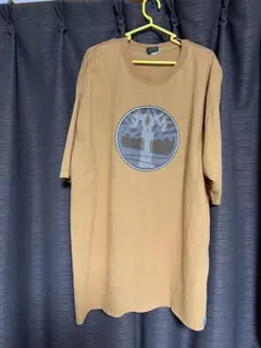 Item thumbnail for item de1c03e4-3e2f-40ab-9897-5f2a34738f13