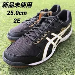 アシックス 卓球シューズ 25.0cm