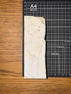 2025年最新】奥殿 巣板の人気アイテム - メルカリ