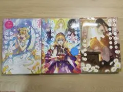 ある日お姫様になってしまった件について　10〜12巻