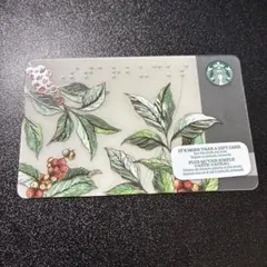 STARBUCKS スターバックス カード コーヒーチェリーデザインのサムネイル