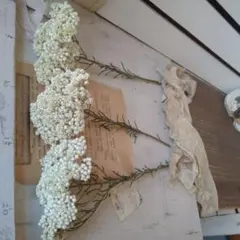 Nate様 リクエスト 6点 まとめ商品