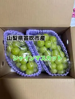 山梨県笛吹市産 シャインマスカット 4房 2k - メルカリ