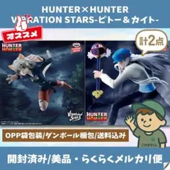 【開封済/美品】HUNTER×HUNTER VIBRATION STARS 2種