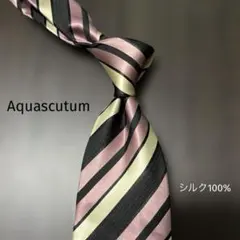 アクアスキュータムのネクタイ