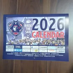 横浜ビーコルセアーズ