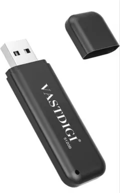 VASTDIGI USBメモリ 512GB 本体